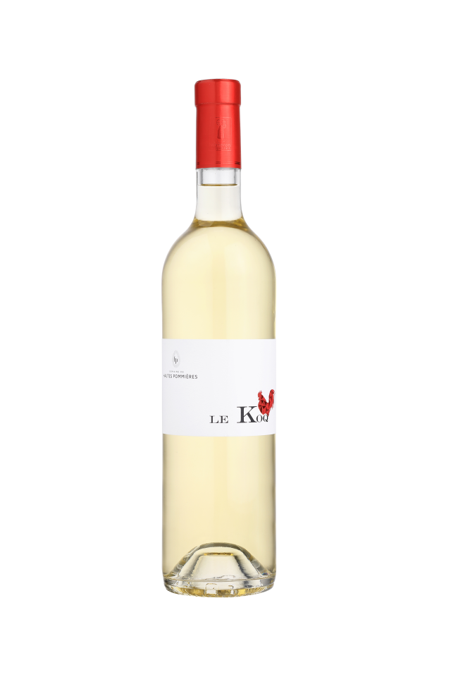Koq blanc 2024